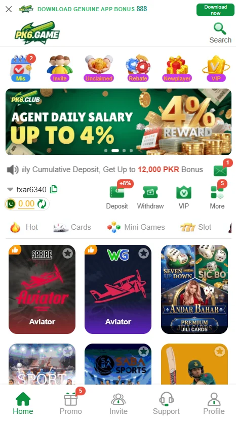 PK6 Game Interface
